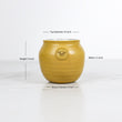 Load image into Gallery viewer, Large Belly Honey Pot - Color Yellowstone
