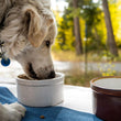 Load image into Gallery viewer, Large Dog Bowl- Ceramic-Stoneware-Handmade-Made in USA-Dog Bowl -Heartland Speckle
