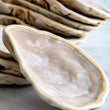 Load image into Gallery viewer, Ceramic Oyster Shells
