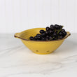Load image into Gallery viewer, Berry Bowl-Yellowstone
